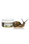 Maschera Capelli alla bava di lumaca 200ml Snail Extract Victoria Beauty