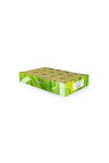 Pajoma Lemongrass Tealight Candeline Lumini profumati 30Pz 4h