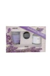 Pajoma Gift Set For You Lavender Candle and Diffuser with wooden sticks