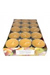 Pajoma Mango-Orange Tealight 30Pcs Scented Candles 4h