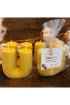 HotStar CactUs Candles 4Pcs in Pure Natural Beeswax, Made in Italy